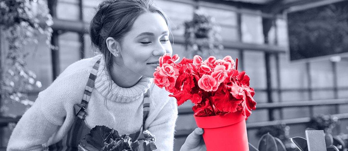 Plant Care App Connected with a Garden Tech Gadget