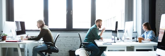 When You Need a CMS and When a Portal?