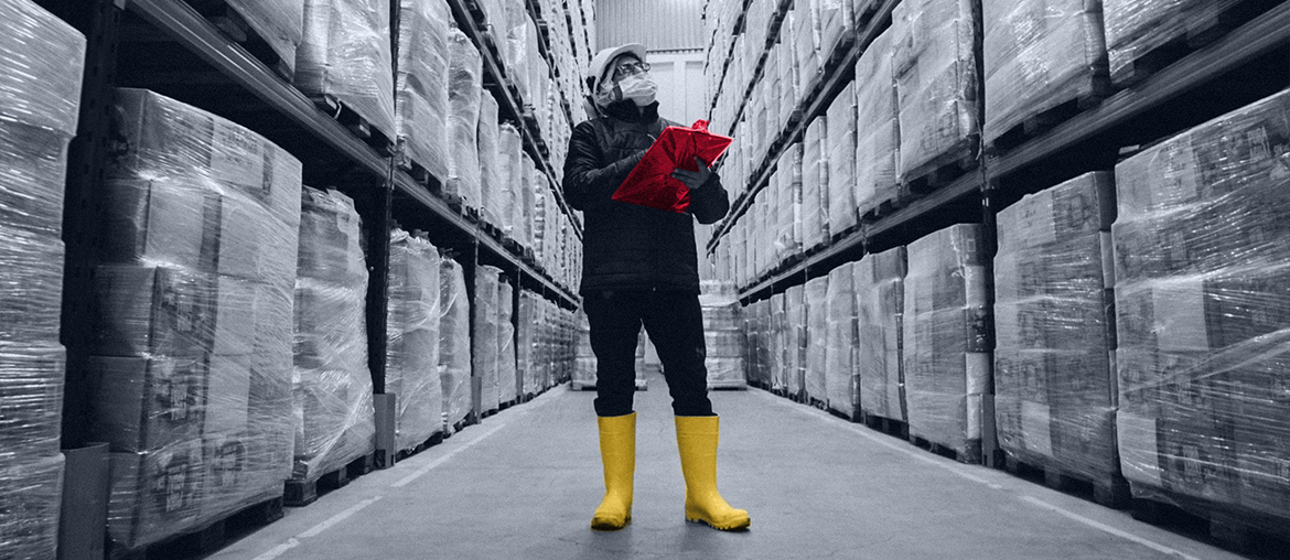 Voice Picking App for French Warehouse Management Systems