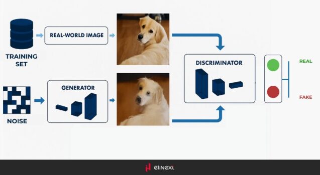 How a generative adversarial network (GAN) works