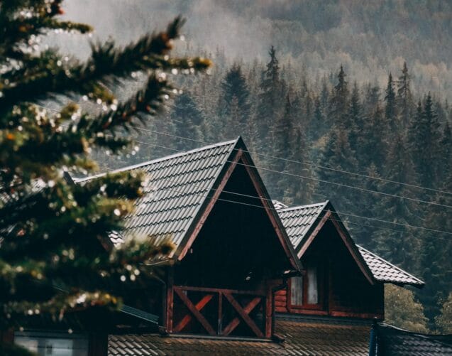 image banner