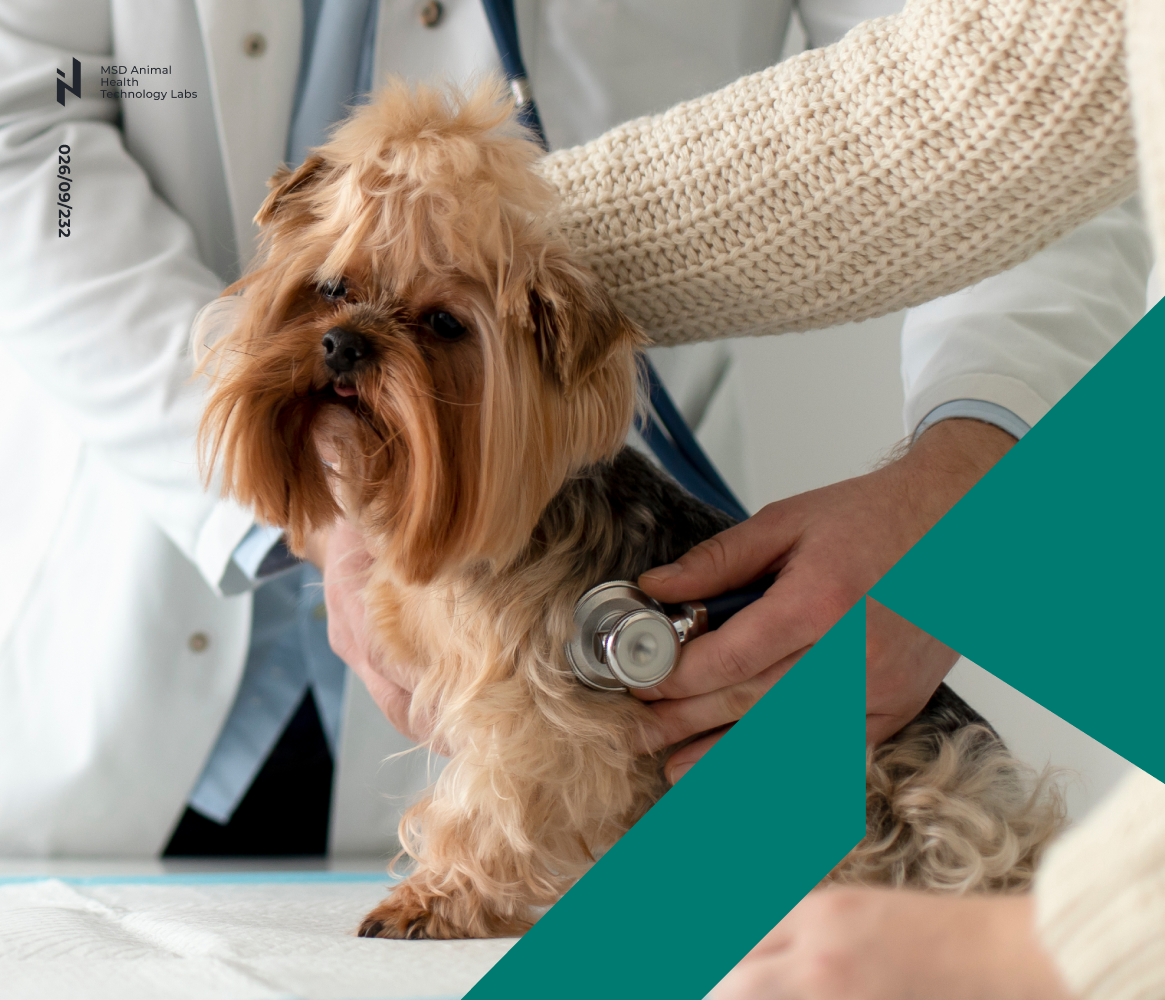 QA and Data Analytics in Pharma Industry